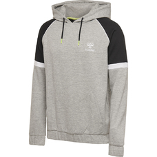 HMLLAYTON HOODIE-727256