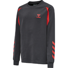 HMLACTION COTTON SWEATSHIRT KIDS-914546