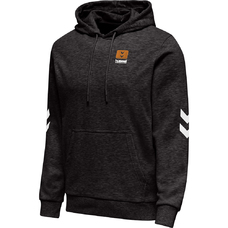HMLLGC LIAM HOODIE