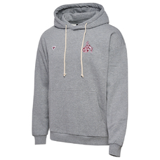 1. FC KÖLN 24/25 FAN LOOSE HOODIE