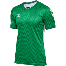 hmlMATCH LEGEND JERSEYS S/S