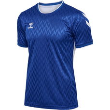 hmlMATCH LEGEND JERSEYS S/S