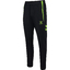 hmlLEAD 2.0 TRAINING PANTS blackgreengecko