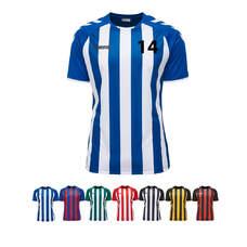 14er Set Core Striped Jersey  inkl. Ball und Druck-683396