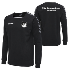 TSV BÄUMENHEIM AUTHENTIC TRAINING SWEAT