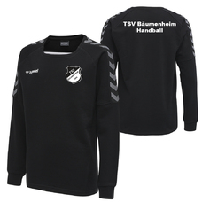 TSV BÄUMENHEIM AUTHENTIC KIDS TRAINING SWEAT