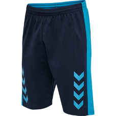 HMLACTION COTTON SHORTS-914476