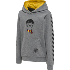 hmlHARRY POTTER CUATRO HOODIE