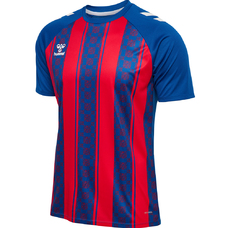 hmlMATCH STRIPED JERSEY S/S-2427410